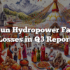 Barun Hydropower Faces Losses in Q3 Report