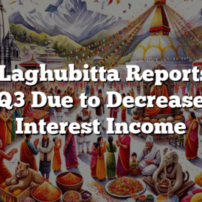 NMB Laghubitta Reports Loss in Q3 Due to Decrease in Interest Income